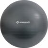 SCHILDKRÖT FITNESS Ball Schildkröt Gymnastikball, Anti-Burst Qualität, inkl. Luftpumpe, phthalatfrei, in vier verschiedenen Größen erhältlich (55cm/65cm/75cm/85cm), max. Belastung: 120kg, 960155-960158
