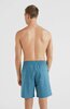 ALL DAY SOLID HYBRID SHORTS 15010 Blue Coral XXL